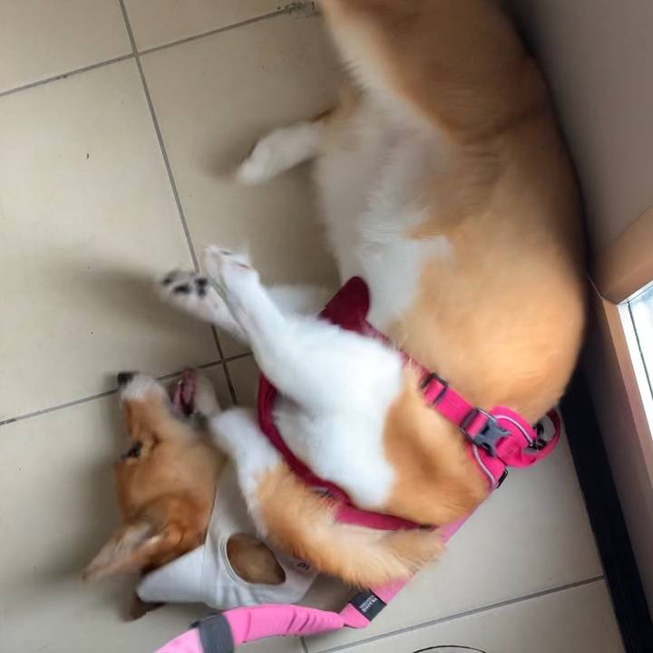 015a2a8b 7fed 4129 a89e 3e0ea28f4bea 1659836768925