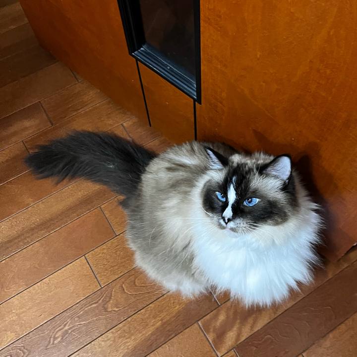 015a4217 8332 48af bb41 ee67fa19f6ee 1693750492697