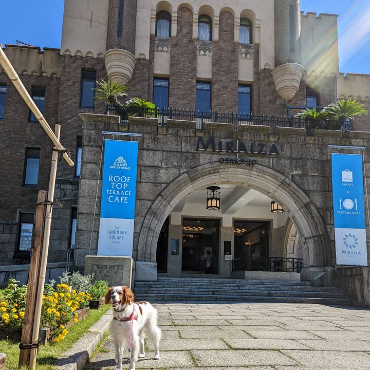 015a4704 9db1 4f3a bc51 3f513abccd70 1666178449047