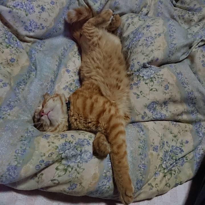 015a6c84 0415 43c7 842d 8aab12b5e2cb 1658206492449