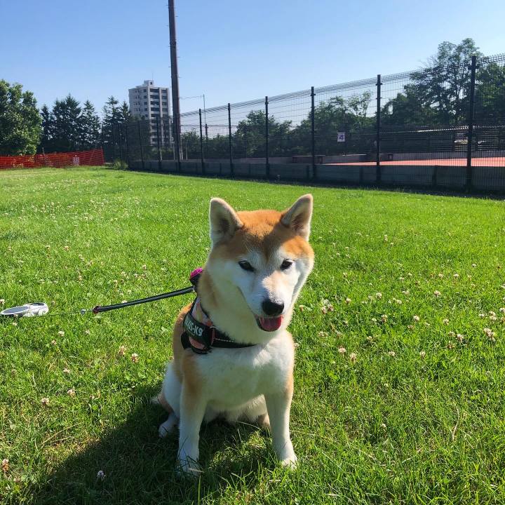 015aa03a 4f7d 48af 83b4 c13f8969cd9a 1594945260253