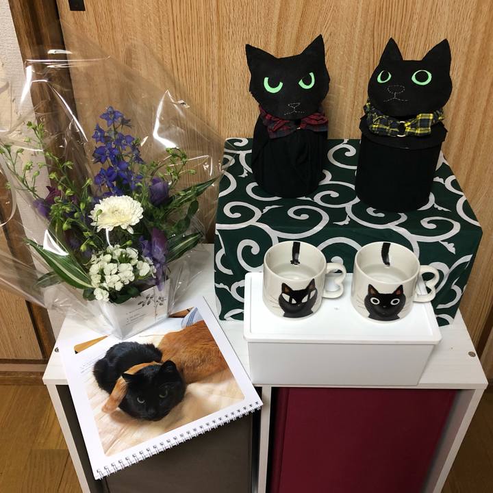 015aa5a4 bf63 4a3d 8a6c 4169c0eb95f1 1647944445222