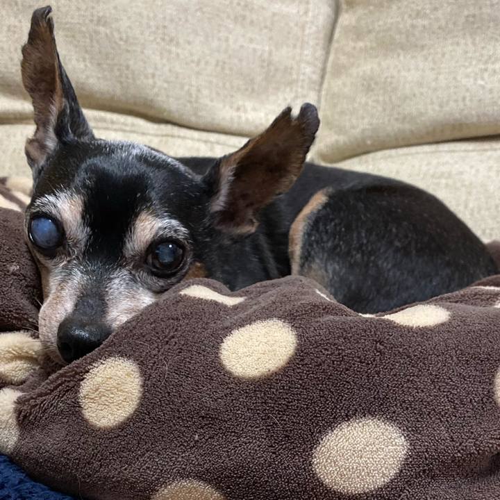 015b5bda a243 4925 983a 0603e72bfebf 1575800566636