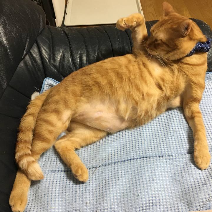 015b6fef 358e 4bad 9947 fdba2a63f9f4 1544781874090