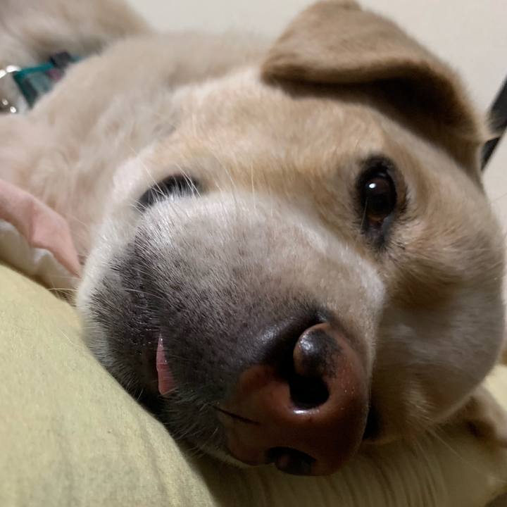 015b935e dd09 4bce 9d82 3e214ebaff62 1555939183674