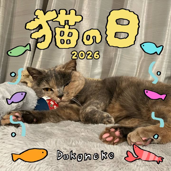 015bb313 46bf 430b 94a6 b2e20d28448e 1771716036430