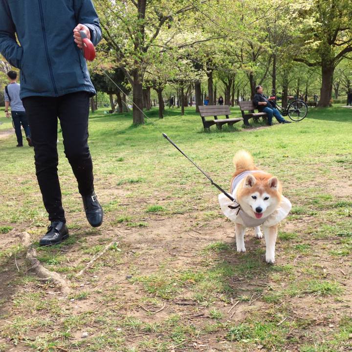 015bb590 3d61 4cd7 91ac f397b1ed56c7 1586942623188