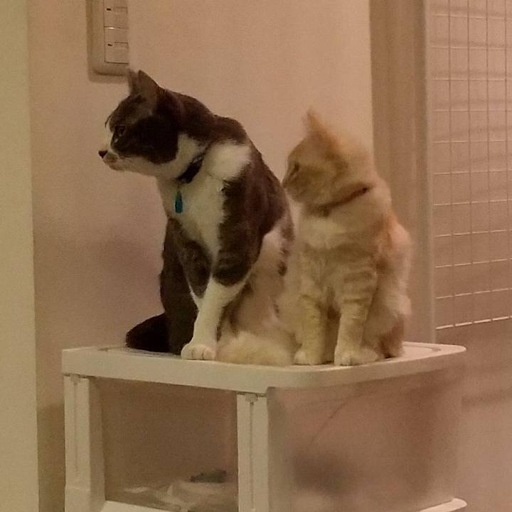 015be41d 4062 4465 b5d8 74a96b75608e 1609849927128