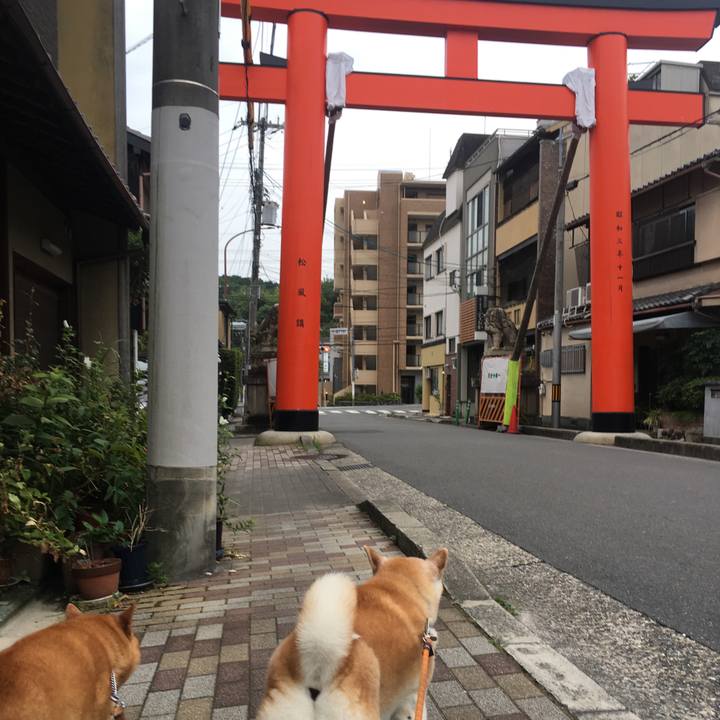 015c7c36 3afe 4f64 9ed4 d4b5a12323b1 1532732265157