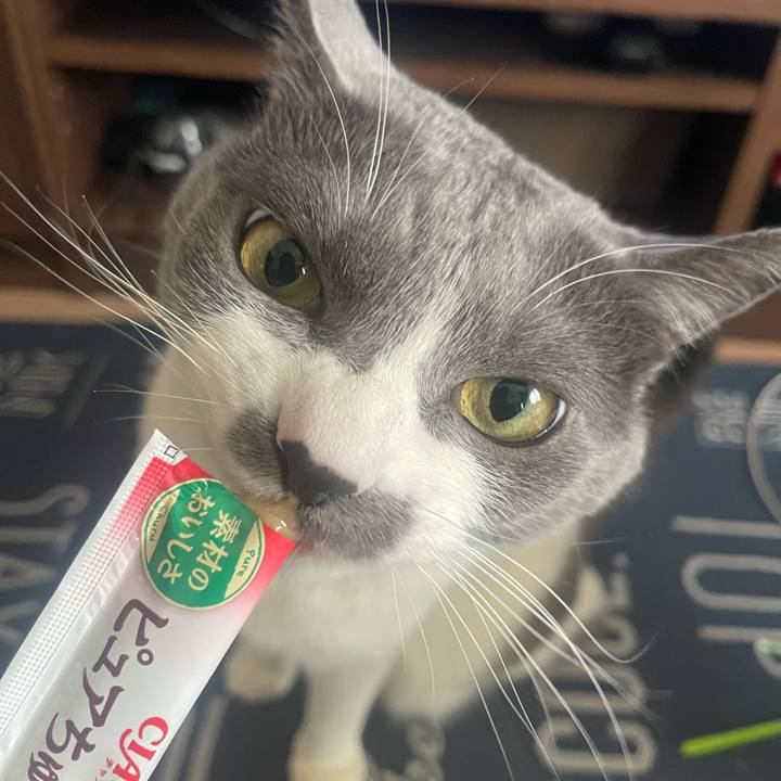 015d6906 63cc 4c2f a935 154b8dcd1501 1713165752420