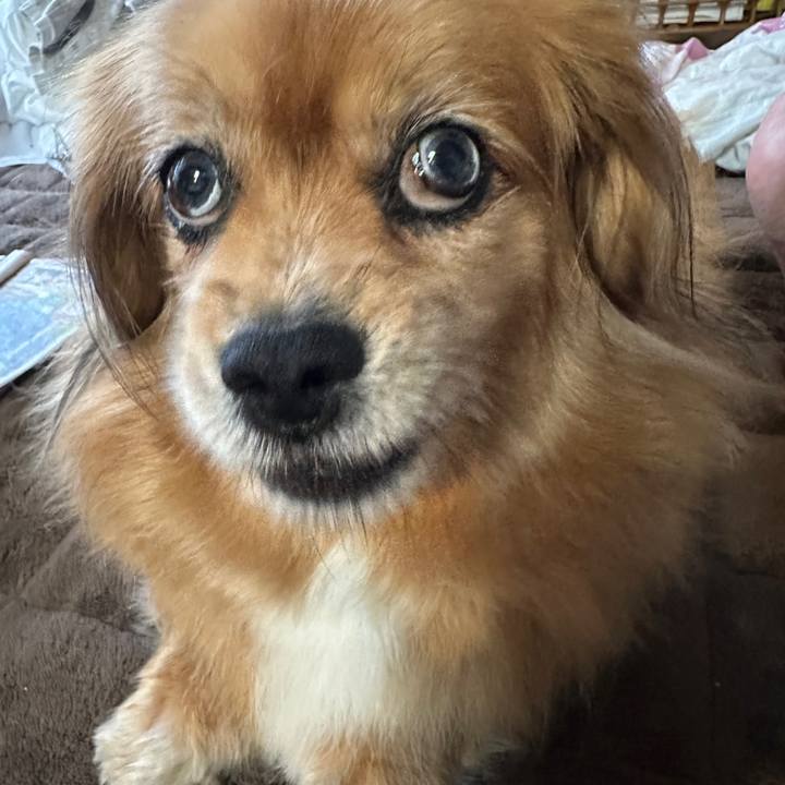 015d7d7a b423 4c6e a31d 894941cbc1cd 1749848383719