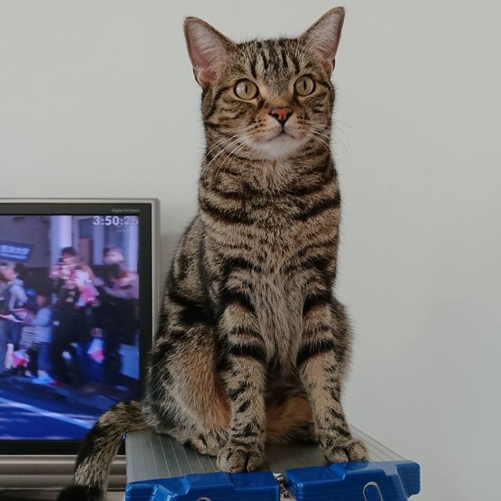 015d8a83 b228 4dd2 852f e2b578a31f2e 1546486963117