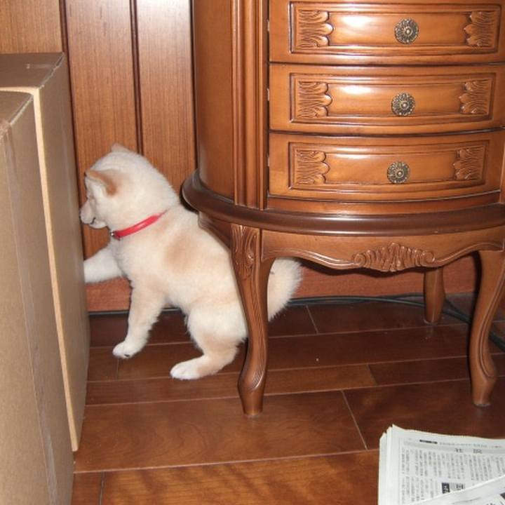 015dc952 0610 4a13 a047 759f19c04201 1638429759384