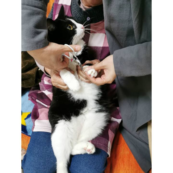 015dd4e1 9027 48d5 bee8 55af948503b5 1637991166082