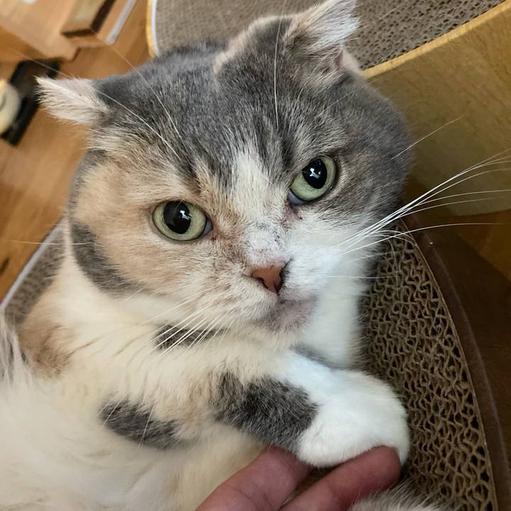 015dedab 15d9 49bd 9419 cbeef39b7fed 1732395203637