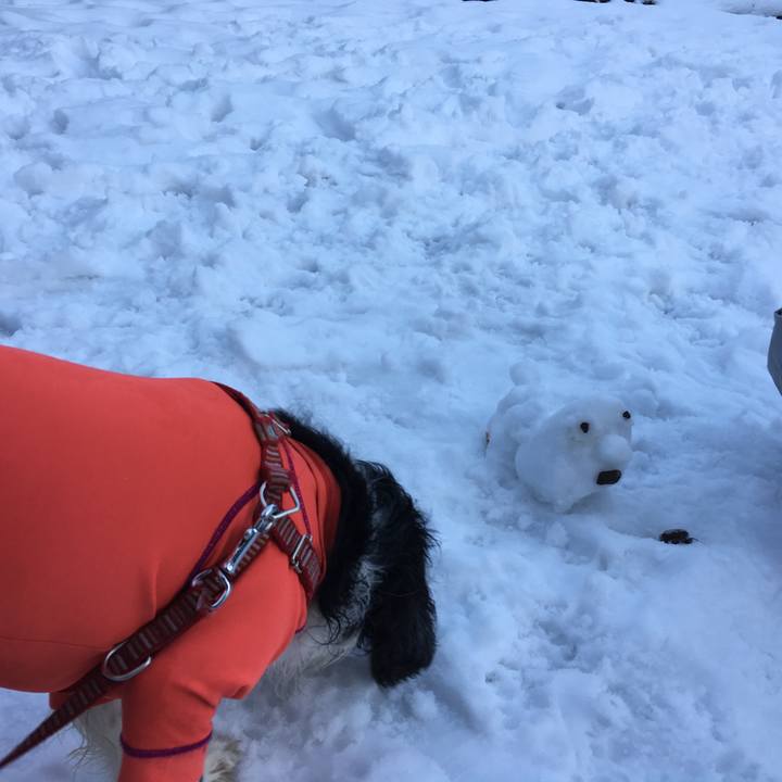 015dfe15 2b1a 4c8c 91fe 9db395da7911 1515154113344