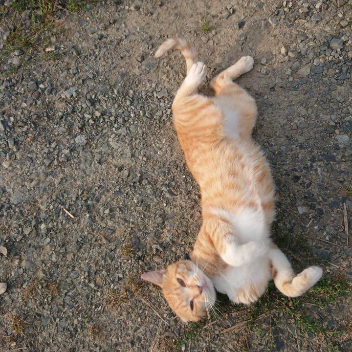 015e0770 168e 4955 b70e 286405df3705 1562102102350