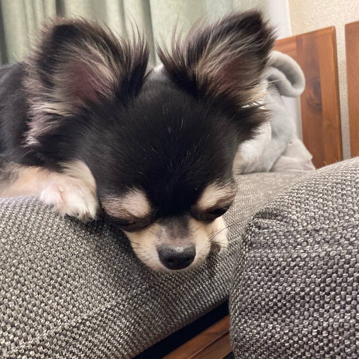 015e14b8 d688 4b2f 85f4 029391ab07de 1628826965448