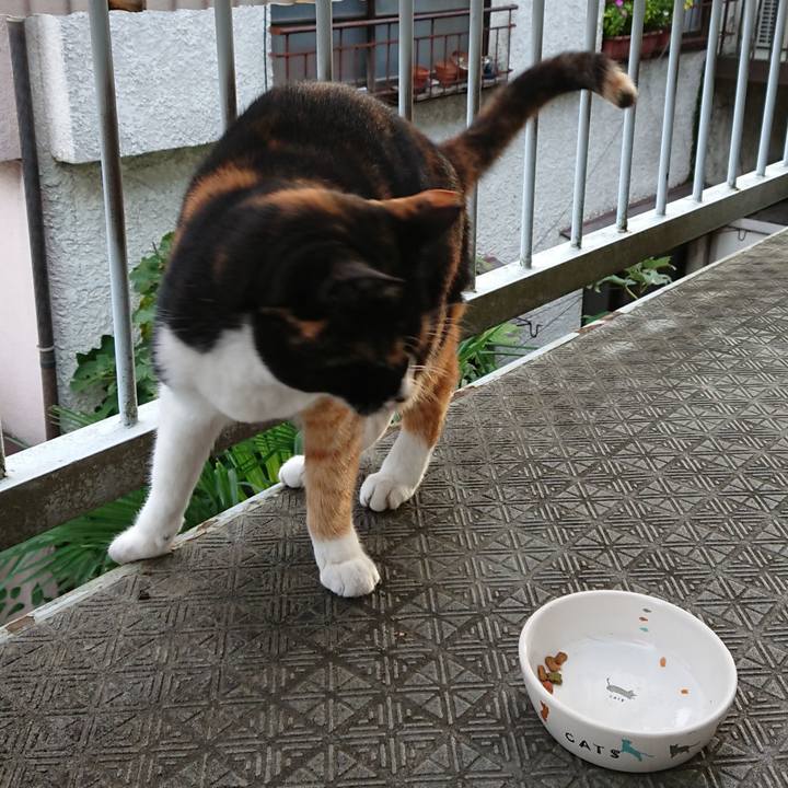 015e50a4 148b 433d 97b4 d3e553519b8c 1665279845224