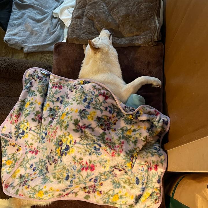 015e53e1 dbb9 4fca 8db5 524542b20970 1636201006727