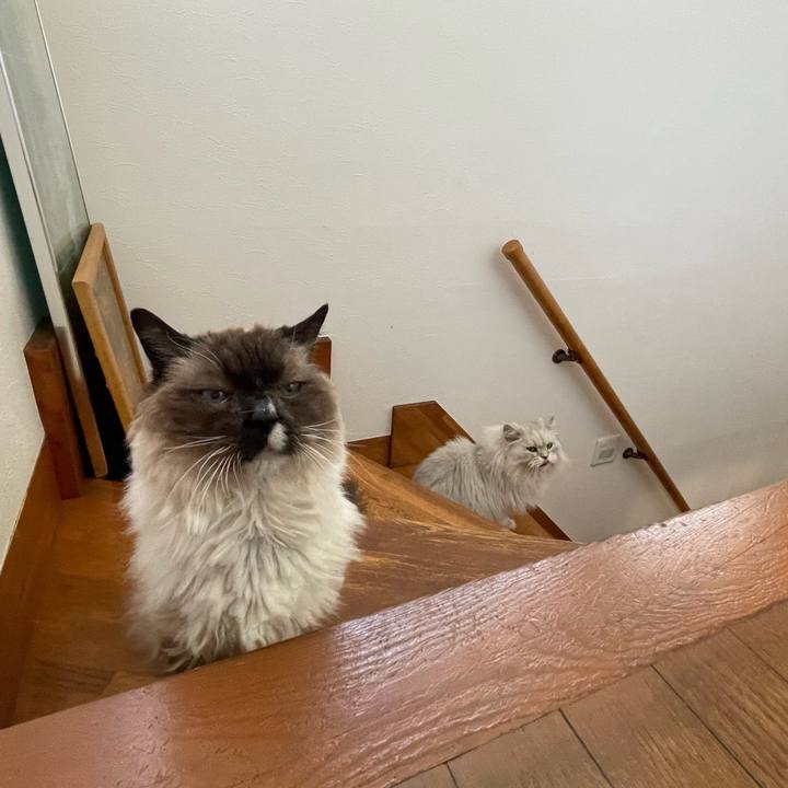 015e56ab 5de6 4734 9eb2 b10012572e14 1652003976647