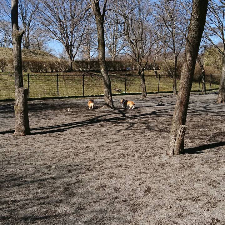 015e6b16 92ee 413d a722 4c34cf3903d4 1555148976233