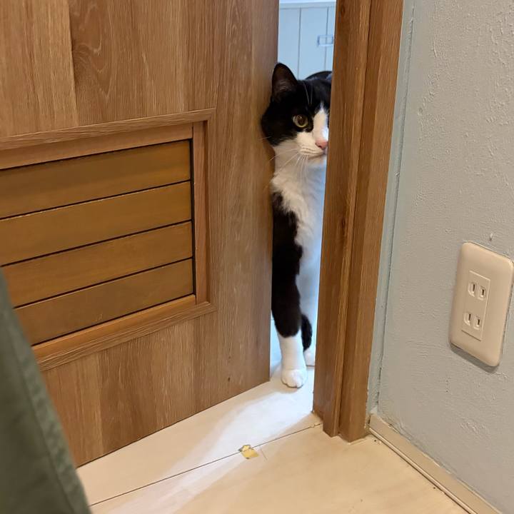 015e6e69 3dce 41e0 b588 e206107e2843 1762604525095