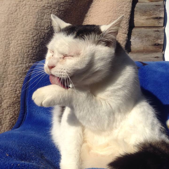 015ed2c7 b14a 4174 83a5 c907e3b36f5f 1547353490320