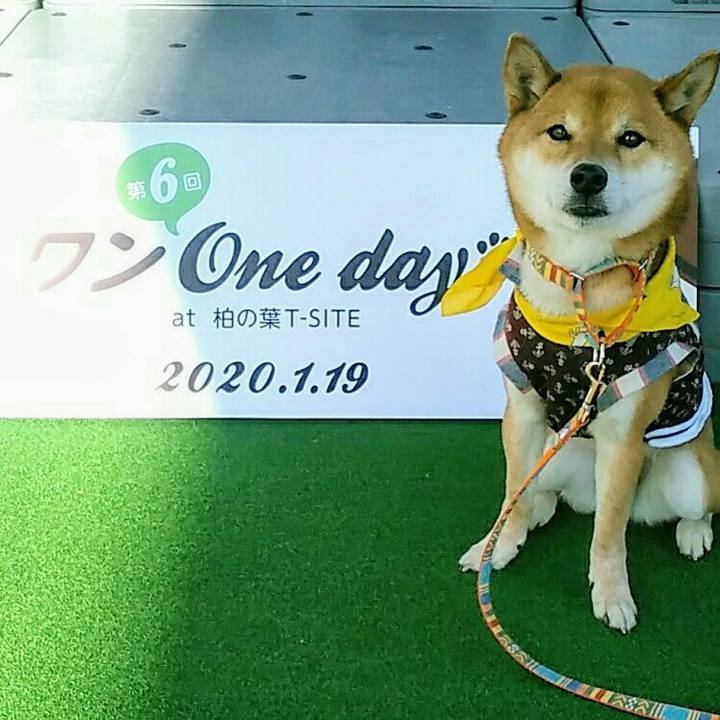 015eda50 6ae7 452d 80fb 2beede0c02b9 1579411643569