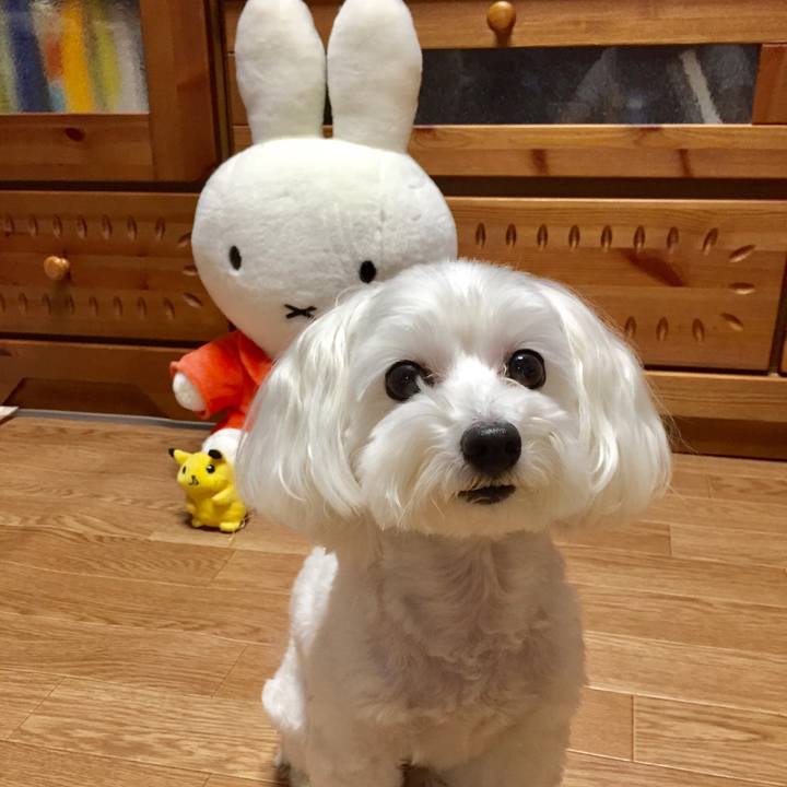 015eea34 387d 41d9 a132 c19d5d37c735 1570439332679