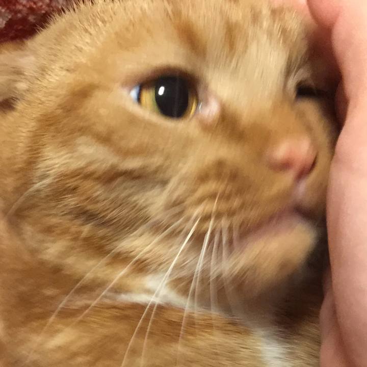 015f064a 213e 4134 9331 fd12405d9480 1547252312292