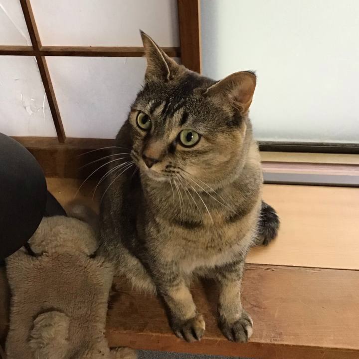 015f0724 eb08 4a36 ac37 44e947202c3f 1683709345387