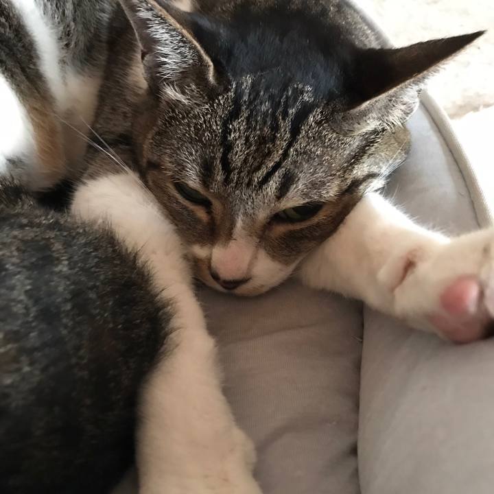 015f113d e890 4f56 abf6 5878ff2379fd 1536971562821