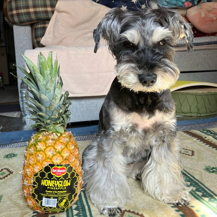 015f18f7 9d49 4ec8 9359 5eb16f5f5de8 1742956137721