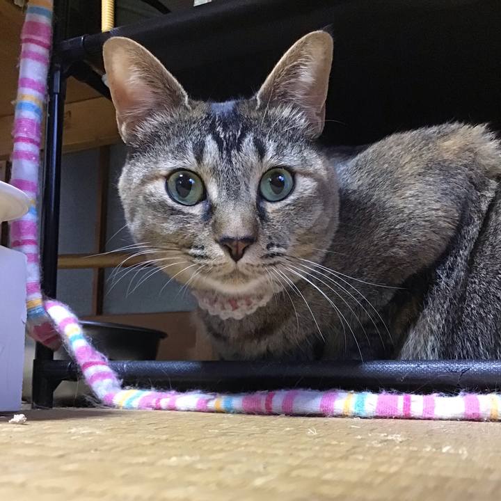 015f83c6 ba4c 4c3a 8bce a35c5ef380aa 1651917738052