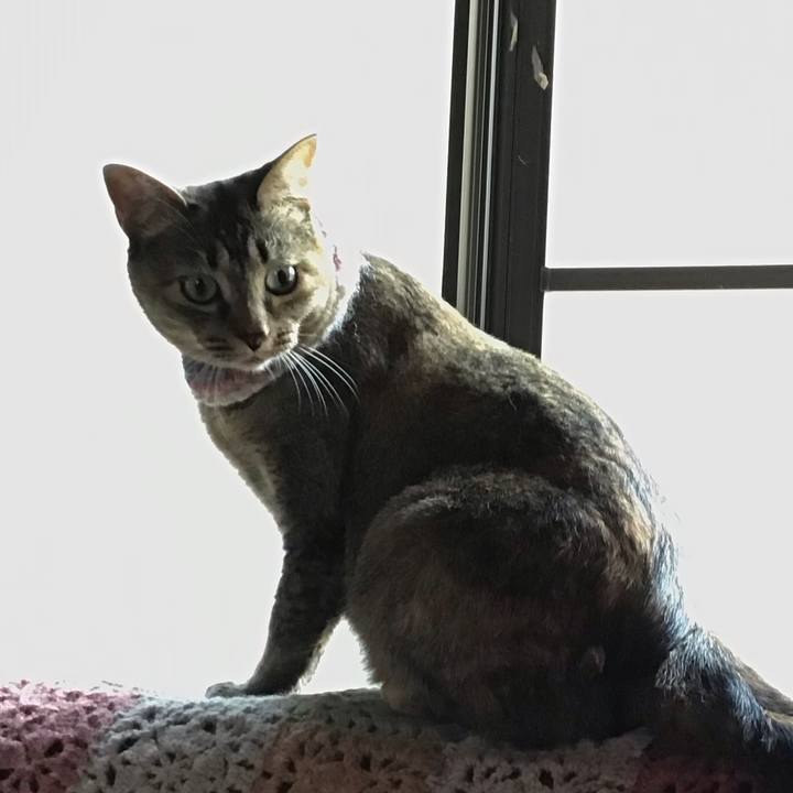 015fbf09 c79e 417d 9e8b 7599fa3f802c 1626134525944