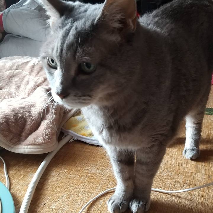 015fce7c dc86 4e14 8533 0ab8cc0f2422 1663894751337