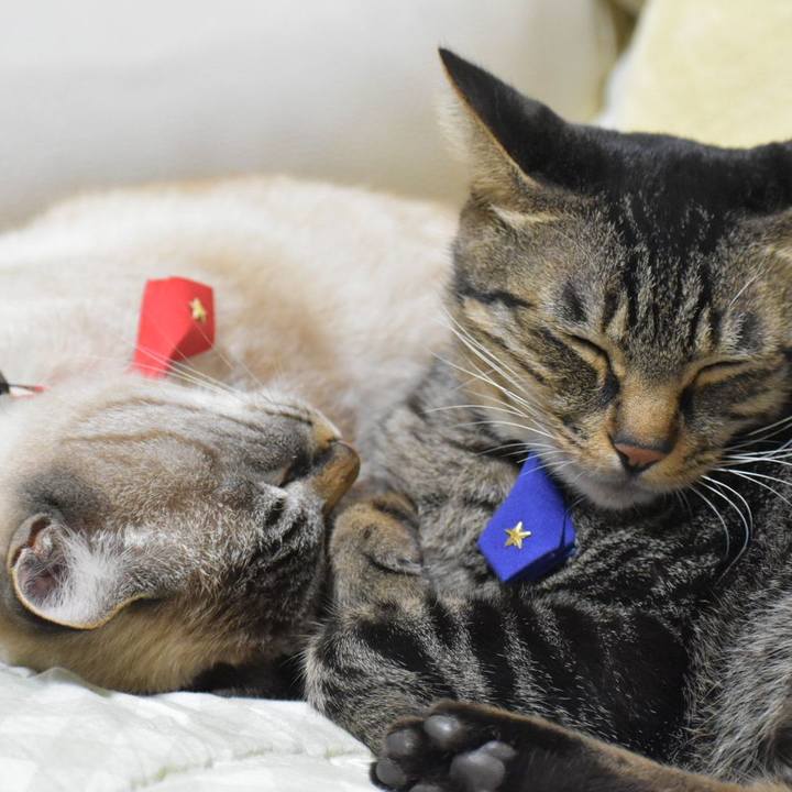 015fdeb9 3584 4d54 b961 d2ebe0a527b9 1571486564686