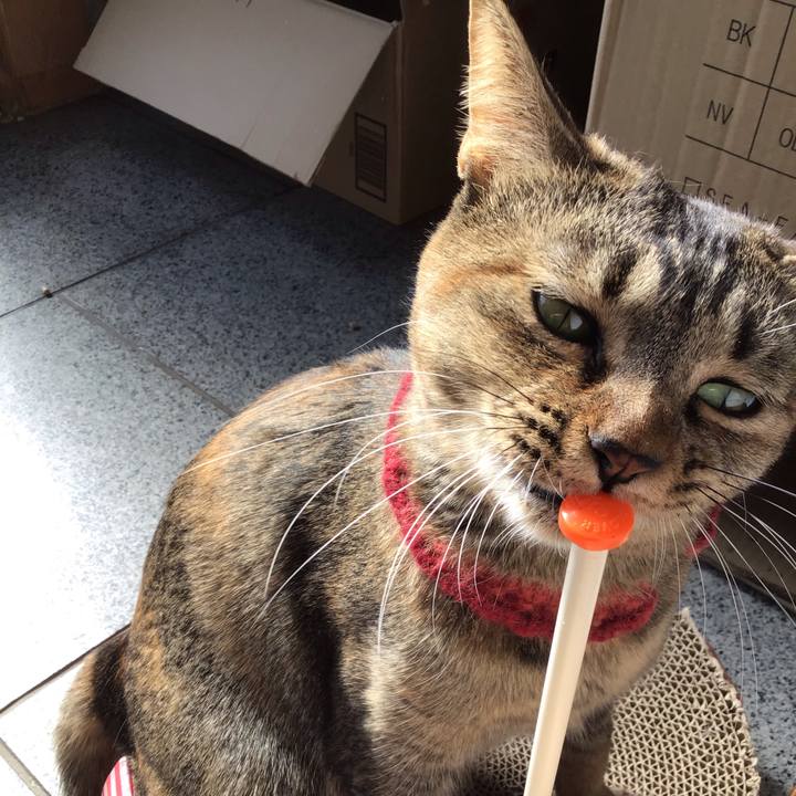 01600bc0 9751 4a54 9309 179be10017ae 1611112630839