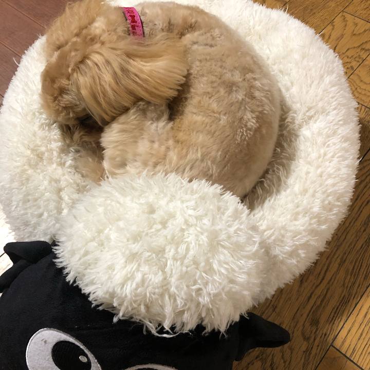 016017b5 62b8 4ef1 9a2b c5037780276f 1617635782504