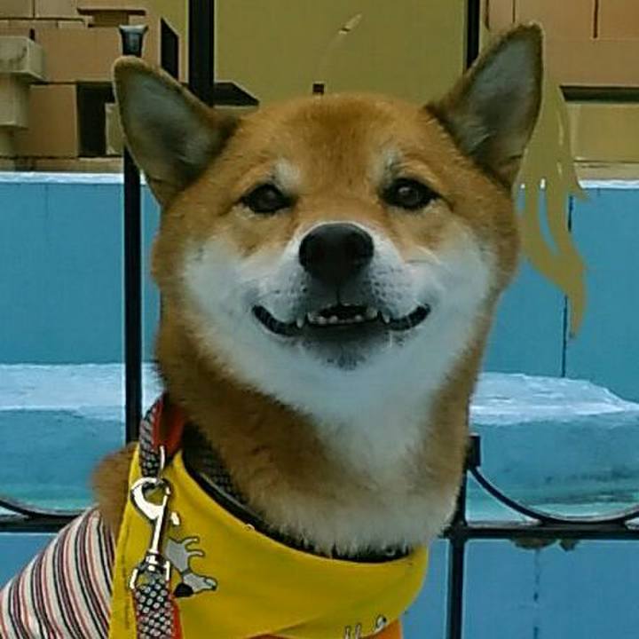 01602a26 10ba 49a8 87f6 8c32c7d9e1e8 1570718813194