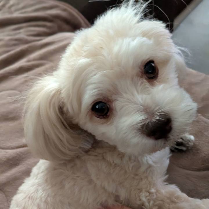 01602cc1 9a17 453d 85cb 98695594bee7 1763647908710