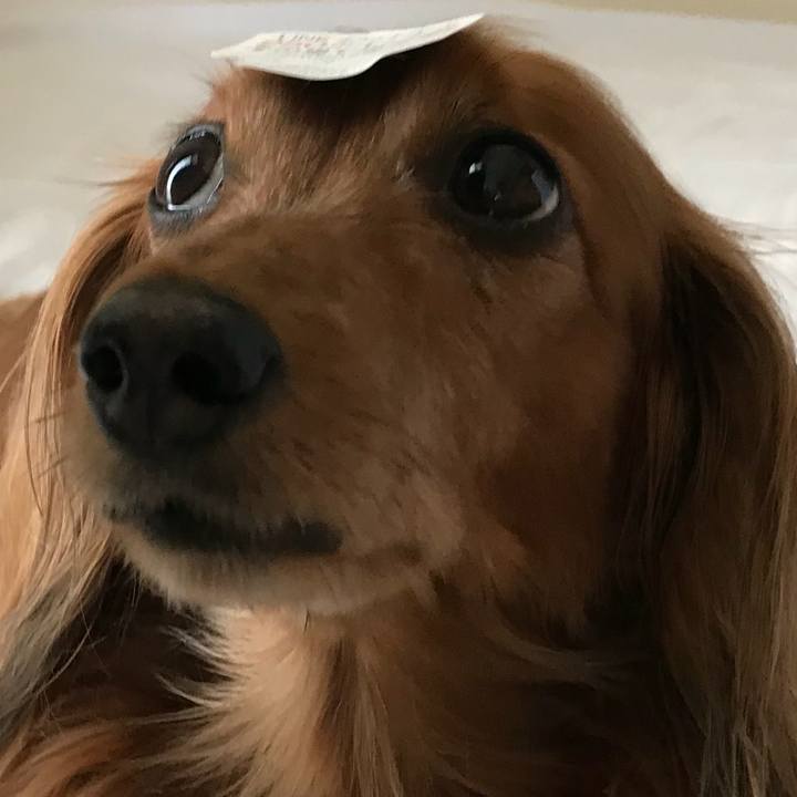 01605808 86dc 4844 9b79 e3fb5bda2a83 1521866552850