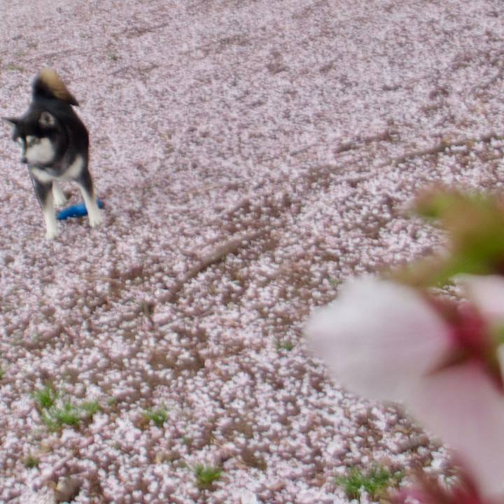 0160696b 3abb 472c 9b75 cf24be058874 1680841483509