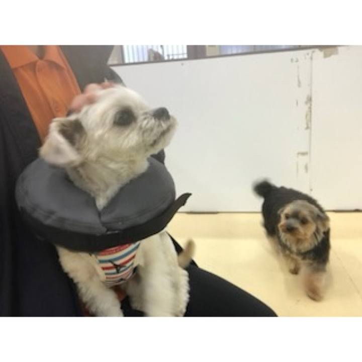 016077eb 88a8 4726 9441 ec68792561aa 1573217146595