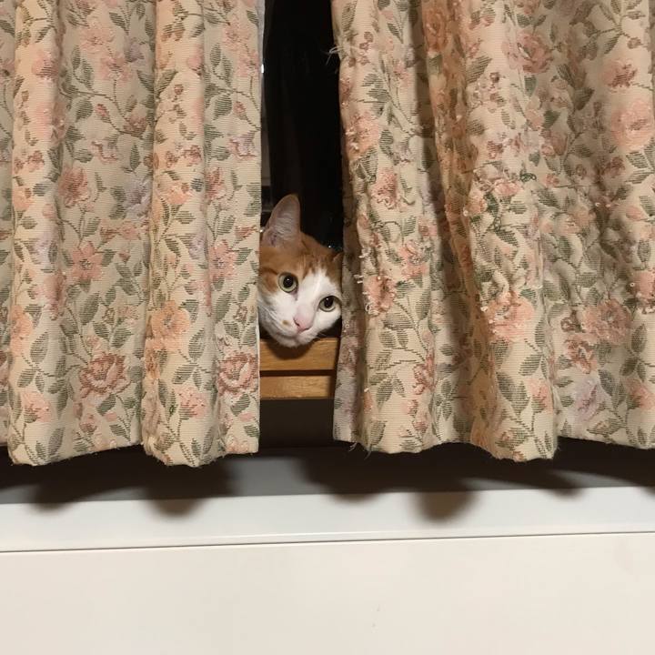 01607955 4cf6 496a a6f4 f32f74a61d1e 1579175953600