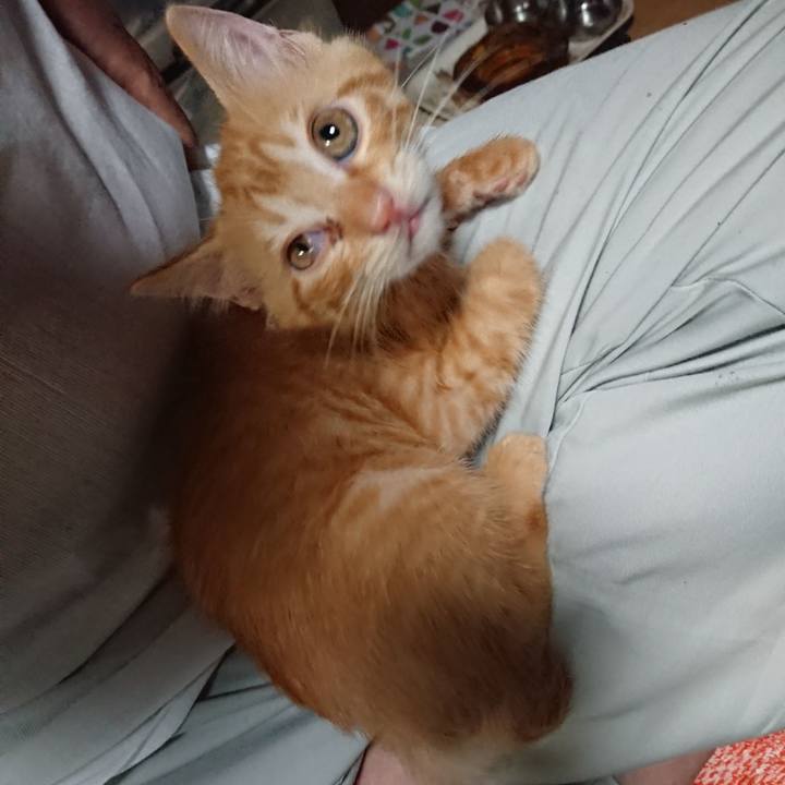 01608e8d af5d 4e0c a00e 34500ab8034a 1629449839511