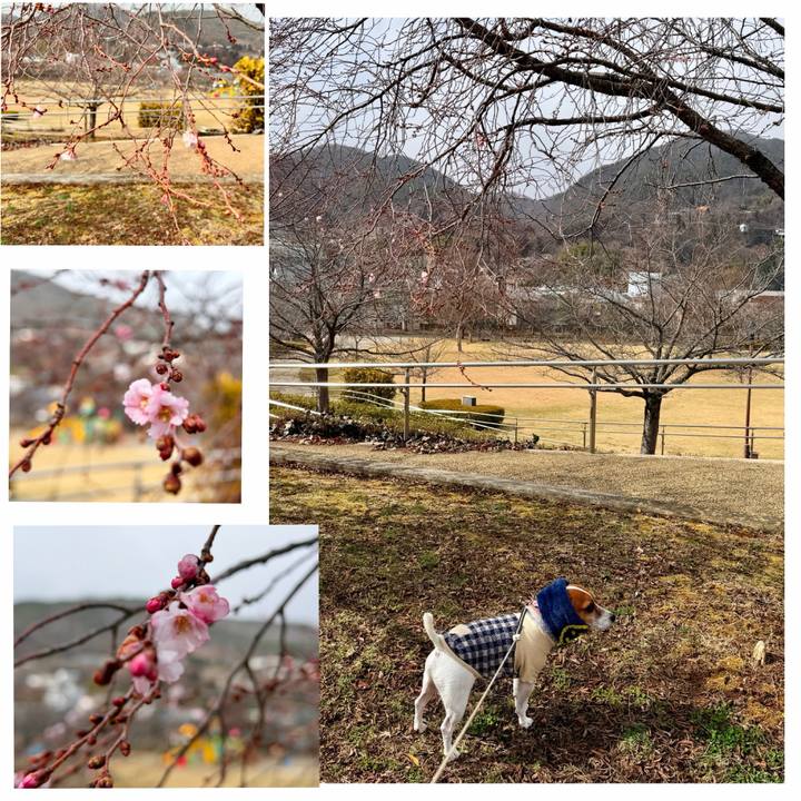 0160b36b bbee 4869 8e86 9c059bc682a8 1772611569687