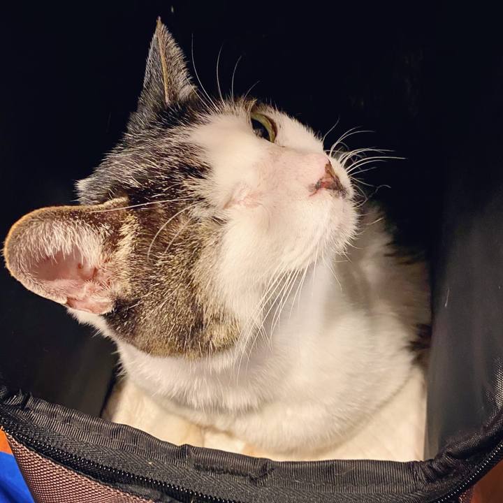 0160e1cd 601c 4eff 8c33 eb67d9dc88a6 1604749199646