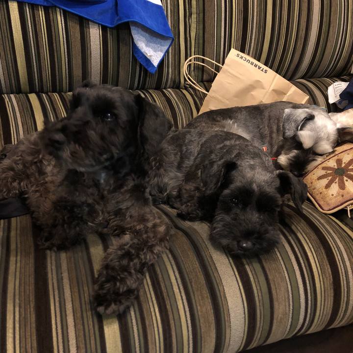 01613005 5599 4d7c 9421 93d2c2d03674 1538686064475